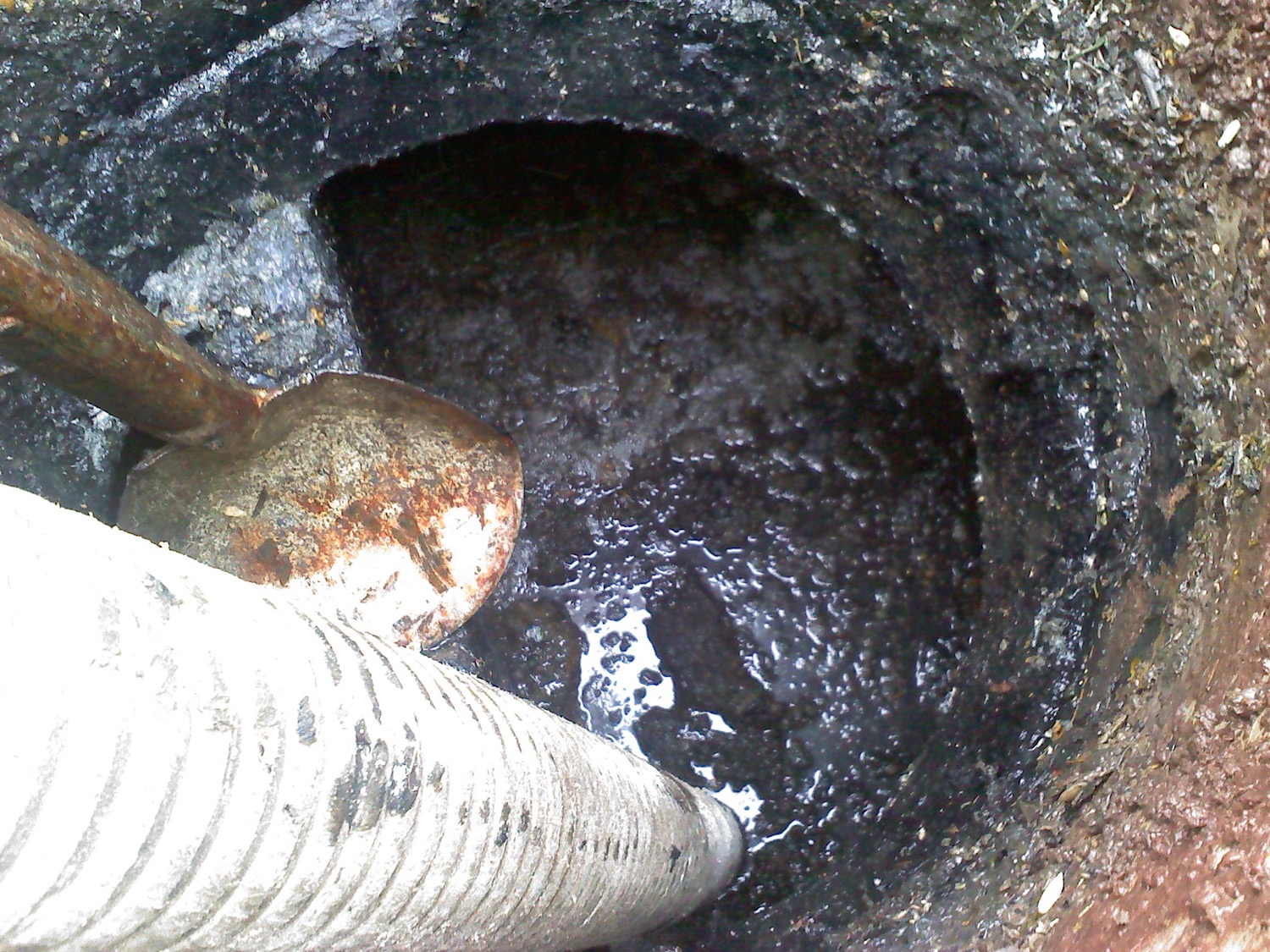 Sewage Tank and Tanker Services